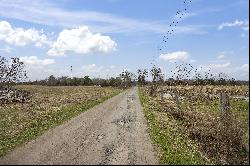 Expansive 247 Acre Playground