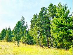 Tract 2B Grizzly Gulch Drive, Helena MT 59601