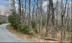 Lot 30 Peach Court, Sapphire NC 28774