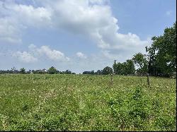 Lot 1 TBD Fm 15, Troup TX 75789