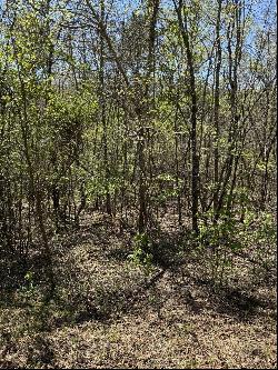 4 Hidden Ridge Loop, Dunlap TN 37327