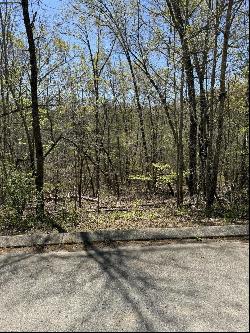 4 Hidden Ridge Loop, Dunlap TN 37327