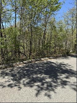 4 Hidden Ridge Loop, Dunlap TN 37327