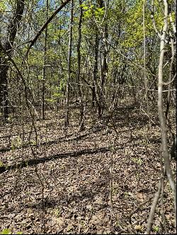 4 Hidden Ridge Loop, Dunlap TN 37327