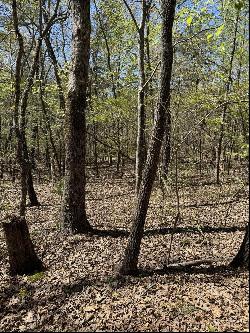 4 Hidden Ridge Loop, Dunlap TN 37327