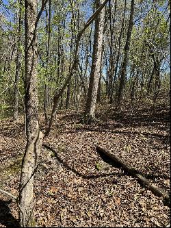 29 Hidden Ridge Loop, Dunlap TN 37327