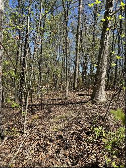 29 Hidden Ridge Loop, Dunlap TN 37327