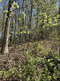 29 Hidden Ridge Loop, Dunlap TN 37327