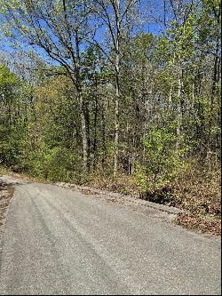 29 Hidden Ridge Loop, Dunlap TN 37327