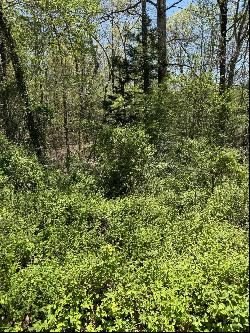 22 Hidden Ridge Loop, Dunlap TN 37327