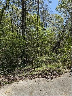 22 Hidden Ridge Loop, Dunlap TN 37327