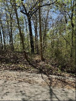 23 Hidden Ridge Loop, Dunlap TN 37327