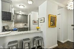 60 SUTTON PLACE SOUTH 4L/N in New York, New York