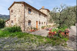 Wine estate on the hills of Lucca