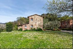 Wine estate on the hills of Lucca