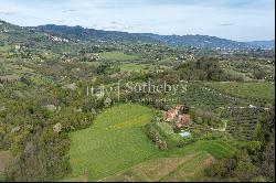 Wine estate on the hills of Lucca