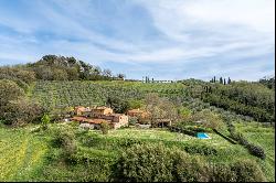 Wine estate on the hills of Lucca