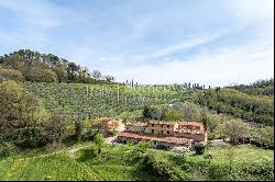 Wine estate on the hills of Lucca