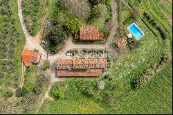 Wine estate on the hills of Lucca