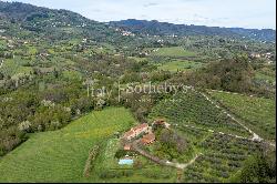 Wine estate on the hills of Lucca