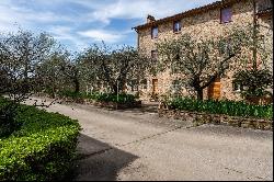 Wine estate on the hills of Lucca