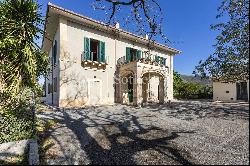 Elegant historic villa with olive grove and sea view