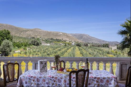 Elegant historic villa with olive grove and sea view