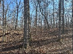 3.2 Acres of Pristine Wooded Land