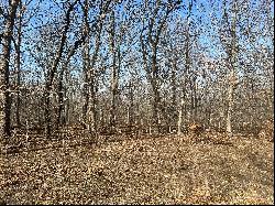 3.2 Acres of Pristine Wooded Land