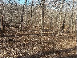 3.2 Acres of Pristine Wooded Land