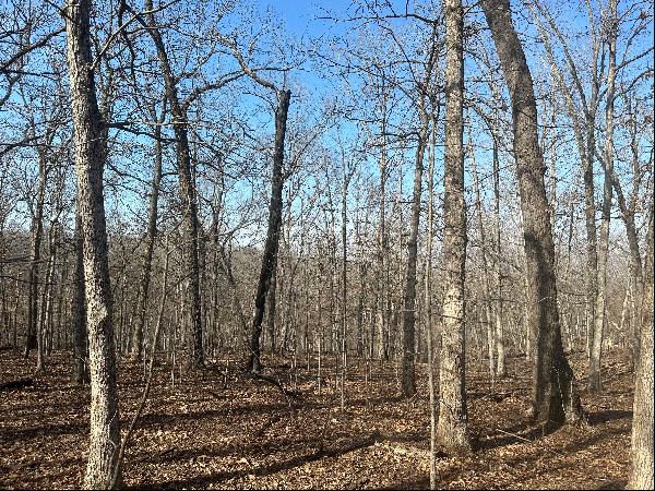 3.2 Acres of Pristine Wooded Land