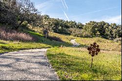 7 Vasquez Trail (Lot 172)