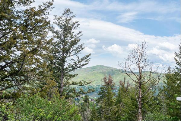 Rare Large View Lot in Pinebrook!