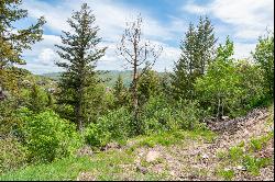 Rare Large View Lot in Pinebrook!