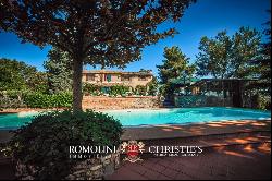 Chianti - ORGANIC WINE ESTATE WITH AGRITURISMO AND RIDING FACILITIES FOR SALE IN SIENA