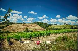 Chianti - ORGANIC WINE ESTATE WITH AGRITURISMO AND RIDING FACILITIES FOR SALE IN SIENA