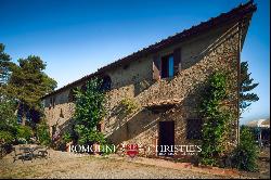 ORGANIC FARM WITH VINEYARD AND RIDING STABLES WITHIN WALKING DISTANCE OF SIENA, FOR SALE.