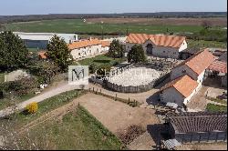 For Sale beautiful equestrian domaine near Poitiers