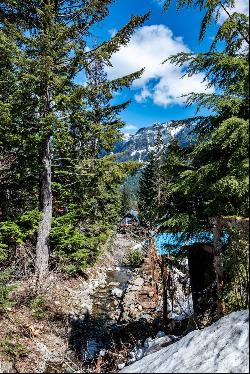 1 XX Arlberg Place, Snoqualmie Pass WA 98068