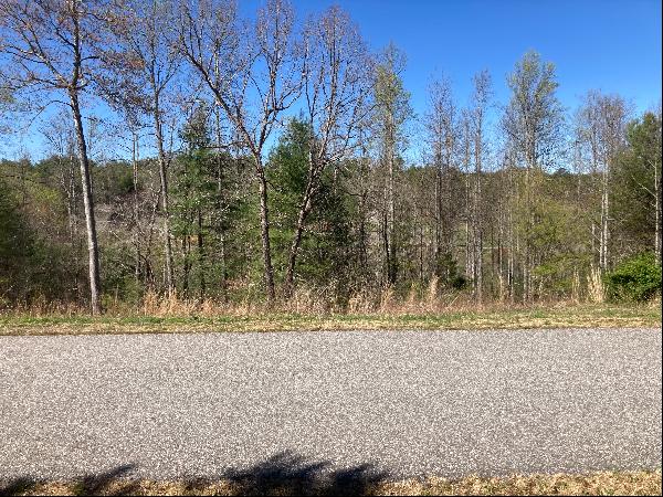 Perfect Lot in the Beautiful Pleasant Meadows Community is Ready for You