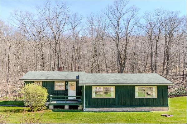 912 Triple Creek Rd, Champion PA 15622