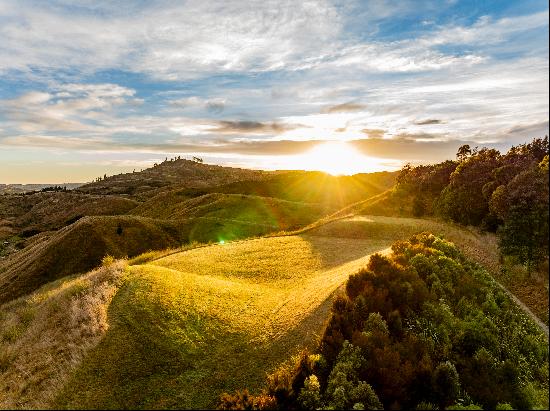 Havelock North