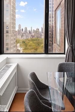 30 WEST 61ST STREET 29F in New York, New York