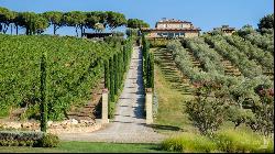 Maremma Mansion with SuperTuscan vineyards, Grosseto - Tuscany