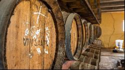 Chianti Classico vineyards Farm, Gaiole in Chianti-Tuscany