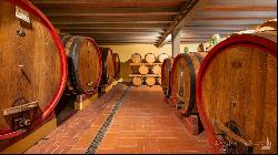 The Moist Flavour Winery in Gaiole in Chianti, Siena - Toscana