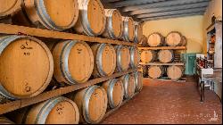 Chianti Classico vineyards Farm, Gaiole in Chianti-Tuscany