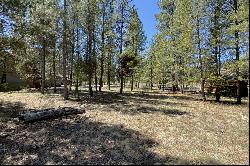 56290 Sable Rock Loop #257 Bend, OR 97707