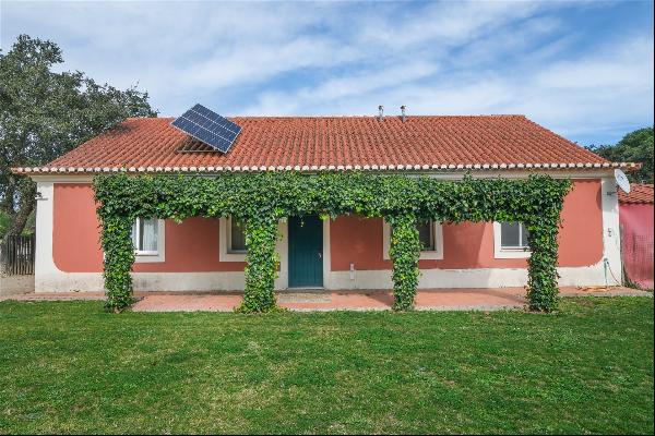 Farm, 6 bedrooms, for Sale