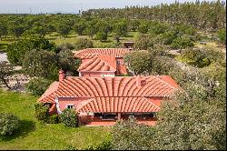 Farm, 6 bedrooms, for Sale